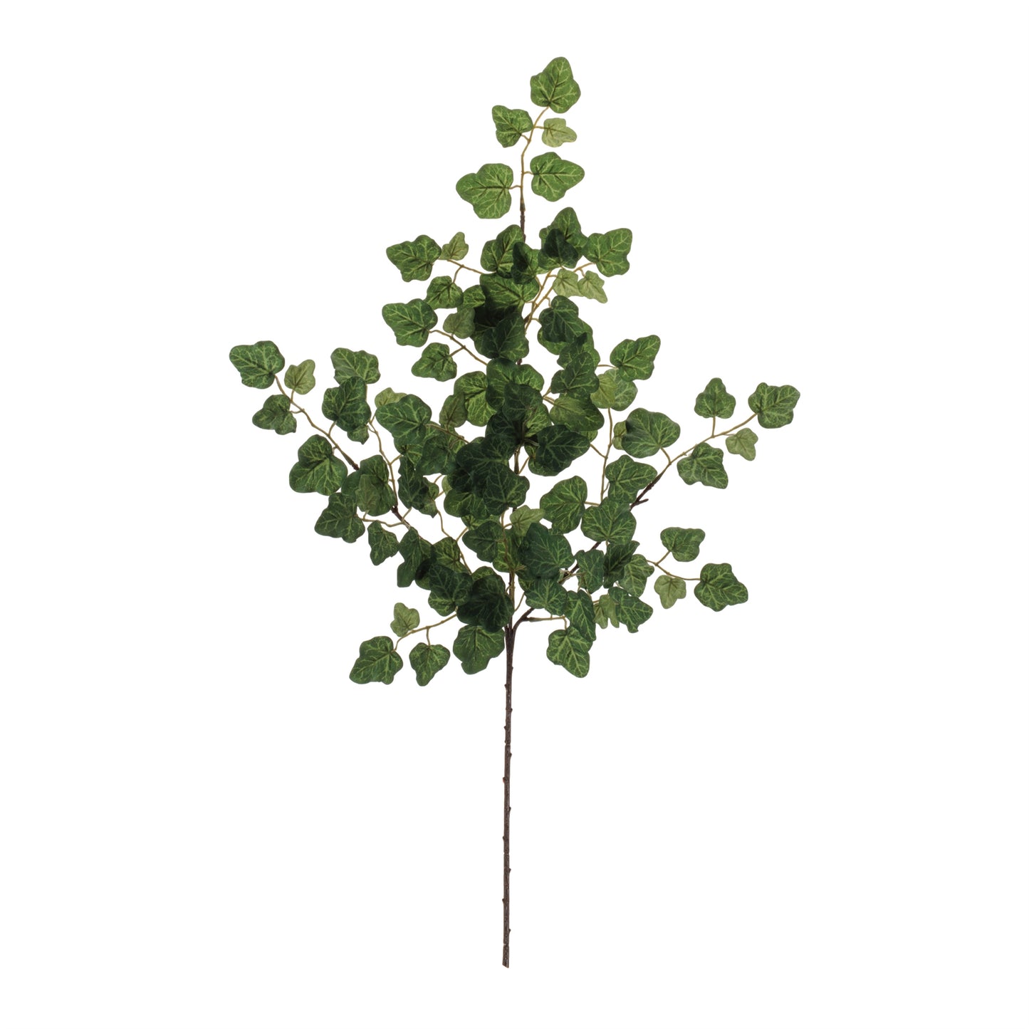 Set of six lush green ivy foliage sprays with wired stems for indoor décor
